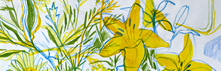 An ink picture of yellow flowers and foliage