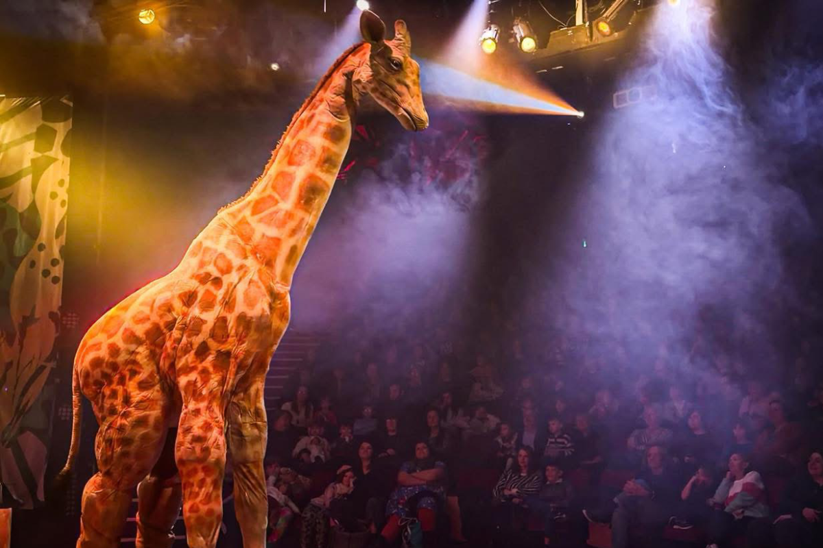 Large giraffe puppet on a theatre stage beneath dramatic lighting and smoke effects during a live family animal show.