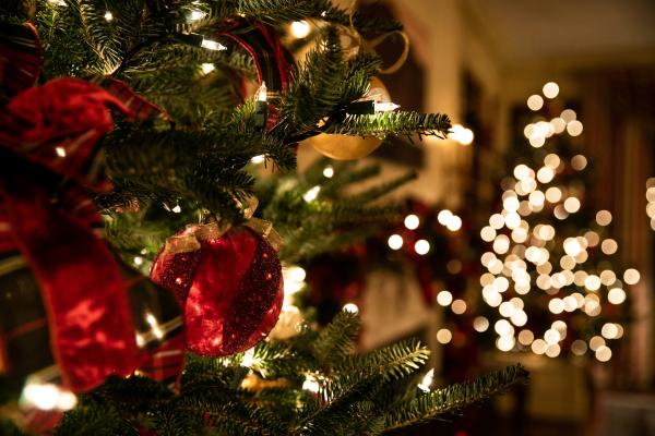 Decorated Christmas tree with red baubles, ribbon bows and warm white fairy lights, set against a softly blurred festive background.